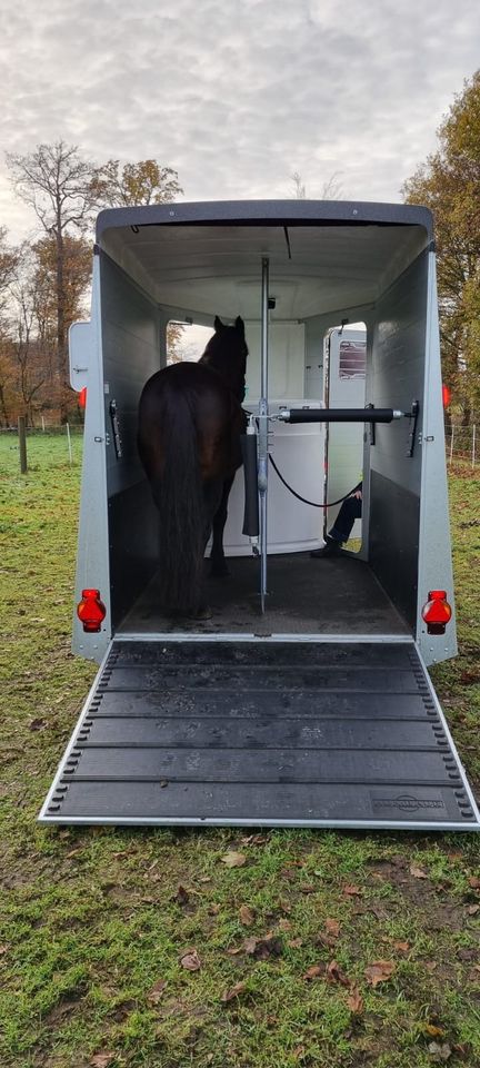 zu vermieten: Pferdeanhänger Humbaur Notos, Frontfenster & Kamera in Olfen