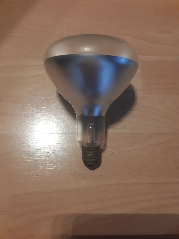 E/44 Reflector Lampe Philips 150 W in Oberursel (Taunus)