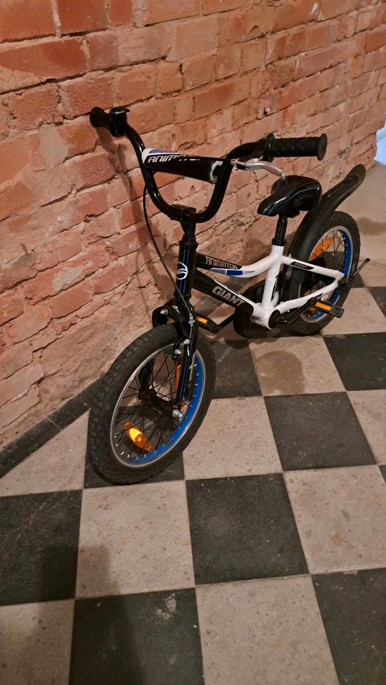 16 Zoll Kinderfahrrad - Giant Animator - gebraucht in Radebeul