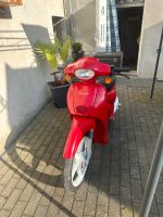 aprilia scarabeo RARITÄT OLDTIMER Roller Nordrhein-Westfalen - Mechernich Vorschau