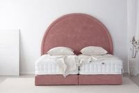 MOON/Boxspringbett/rot/rosa/200x200cm/Chenille/Premiummatratze Nordrhein-Westfalen - Detmold Vorschau