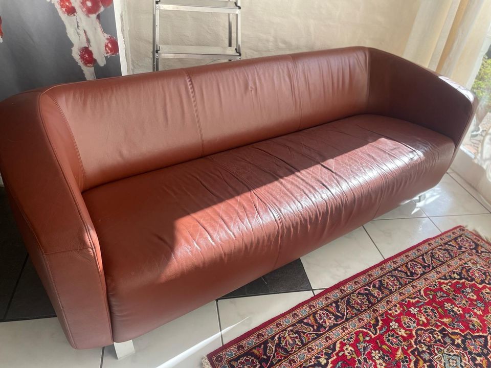 Rolf Benz Designer Couch Modell 600 in Kaiserslautern