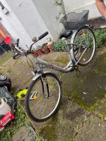Fahrrad zu verkaufen Essen - Essen-Katernberg Vorschau
