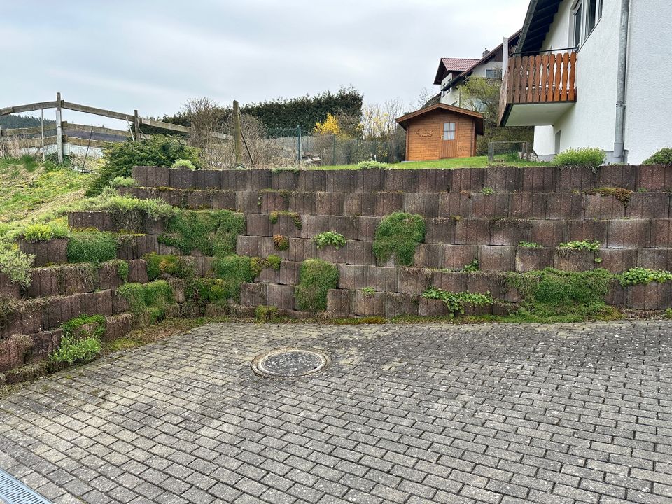 Idyllisches Einfamilienhaus in Raboldshausen mit Garten *** Jäger ist keine Pflicht, um hier einzuziehen *** in Neuenstein