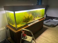 Aquarium mit Schrank, Technik, Deko und Fischen zu verkaufen Sachsen-Anhalt - Edderitz Vorschau