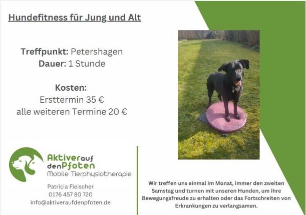 Hundefitness für jung und alt in Petershagen