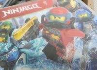 100 verschiedene Ninjago Karten Serie 7 (2022) Nordfriesland - Schwesing Vorschau