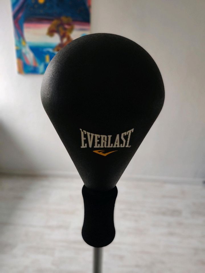 Reflex bag von Everlast in Düsseldorf