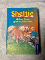 Kinderbücher Sheltie Baden-Württemberg - Offenburg Vorschau