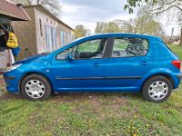 Peugeot 307 Müritz - Landkreis - Penzlin Vorschau