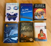 Bücher zu verkaufen - u.a. Harry Potter, Twilight, Drachenreiter Niedersachsen - Schwülper Vorschau