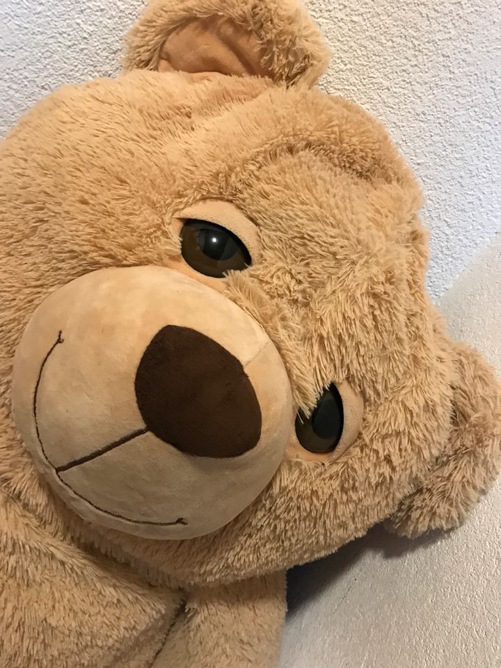 XXL Teddybär Kuscheltier Stofftier Plüschtiere Sitzsack Babyfoto in Werneck
