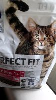 Neu PERFEKT FIT TOTAL5 KATZENFUTTER 1,4kg Mitte - Wedding Vorschau