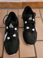Nike Basketball Schuhe Gr. 46 Hessen - Karben Vorschau