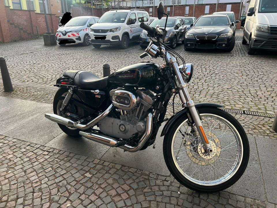 Harley Davidson Sportster in Neunkirchen