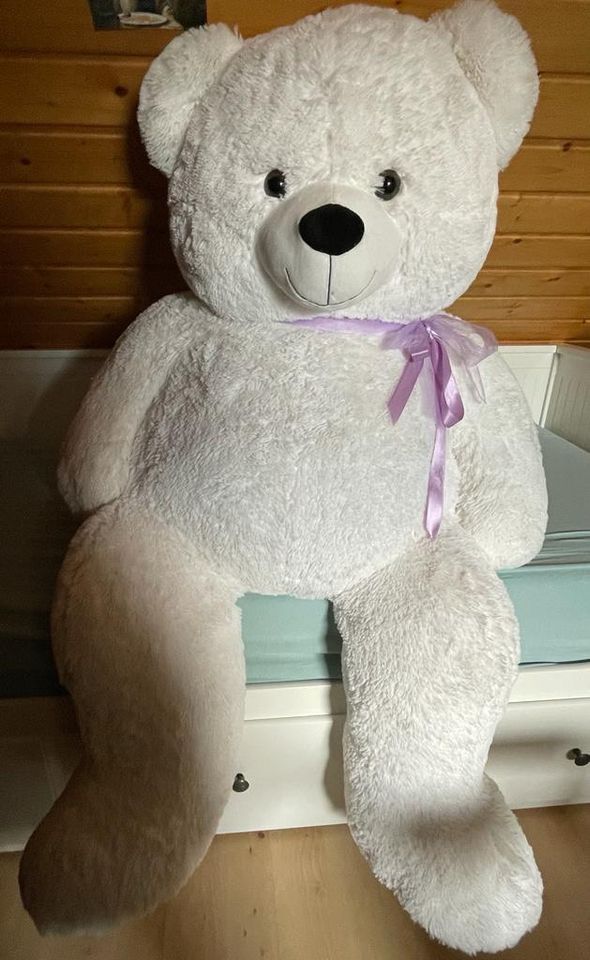 Neuwertiger riesiger Teddybär in Hessen - Homberg (Efze) | Kuscheltiere  günstig kaufen, gebraucht oder neu | eBay Kleinanzeigen ist jetzt  Kleinanzeigen