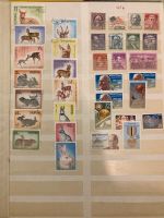 Briefmarkensammlung Essen - Essen-Stadtmitte Vorschau