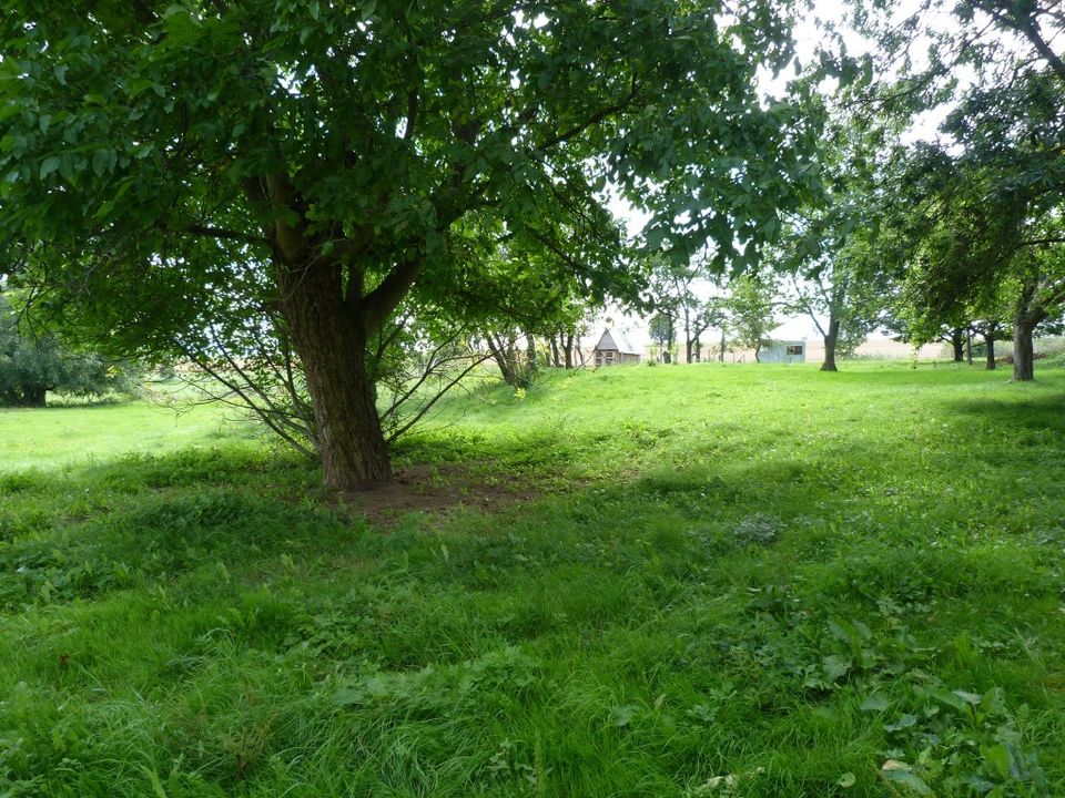 Urlaub auf dem Bauernhof, Ferienwohnungen, DenkmalHof in Hohenleuben