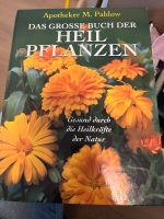 Pahlow Das große Buch der Heilpflanzen Nordrhein-Westfalen - Paderborn Vorschau