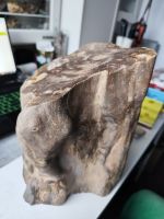 XXL Versteinertes Holz 10kg TOLL Heilsteine Mineralien Minerale Bayern - Creußen Vorschau