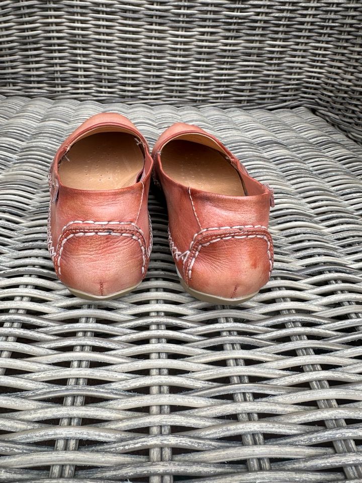 Neue Pikolinos Lederschuhe - Mokassins Damenschuhe in Wittenberg