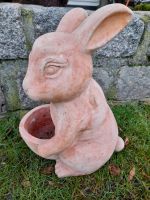 Großer Terrakotta-Hase mit Blumentopf, Ostern Nordrhein-Westfalen - Lippetal Vorschau
