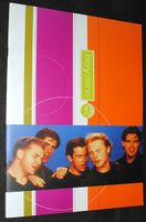 Boyzone / Ronan Keating Tourbook Tour Book Buch Tourprogramm 1996 Sachsen - Großpösna Vorschau