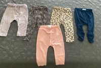 3x H&M leggings hosen 1x topomini rosa 1x ben and Ann blau Gr 80 Baden-Württemberg - Unterreichenbach Vorschau