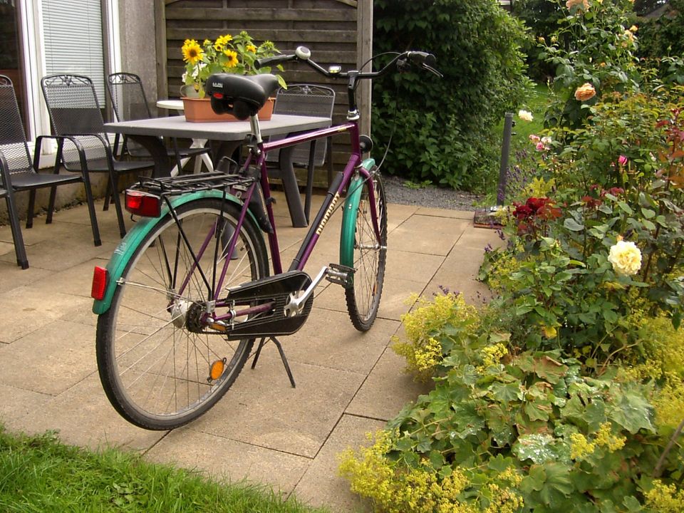 Fahrrad DIAMANT in Neuhaus