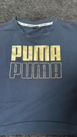 Puma Pullover kurz 38 mit goldenem Druck Baden-Württemberg - Wehr Vorschau