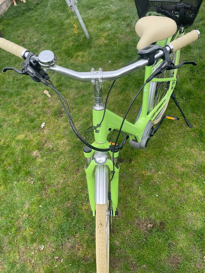 Elly Ride Hyb. 500 green‘n‘wh. E46 Cube in Waldershof