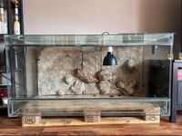 Terrarium 120x60x60 Schleswig-Holstein - Escheburg Vorschau