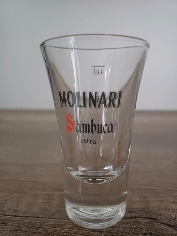 4 Sambucca Molinari Gläser, 4 cl in Aurich
