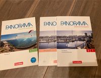 Deutsch Panorama A1.1, B1, je 8€ Niedersachsen - Leer (Ostfriesland) Vorschau