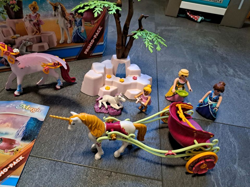 Playmobil magic in Hankensbüttel