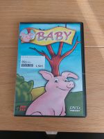 DVD Baby das Schweinchen Nordrhein-Westfalen - Sonsbeck Vorschau