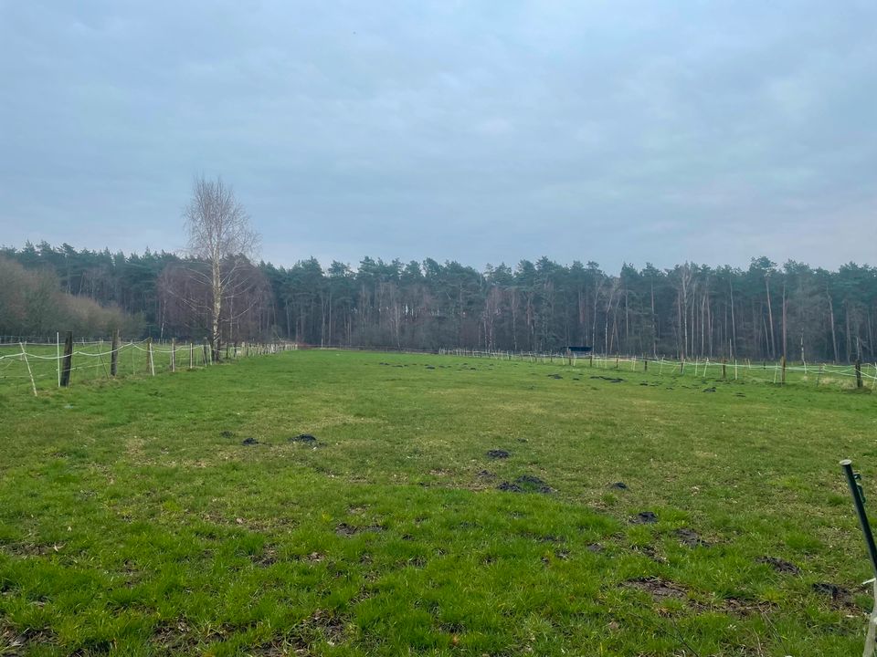 Landwirtschafts- und Waldfläche in Burgwedel