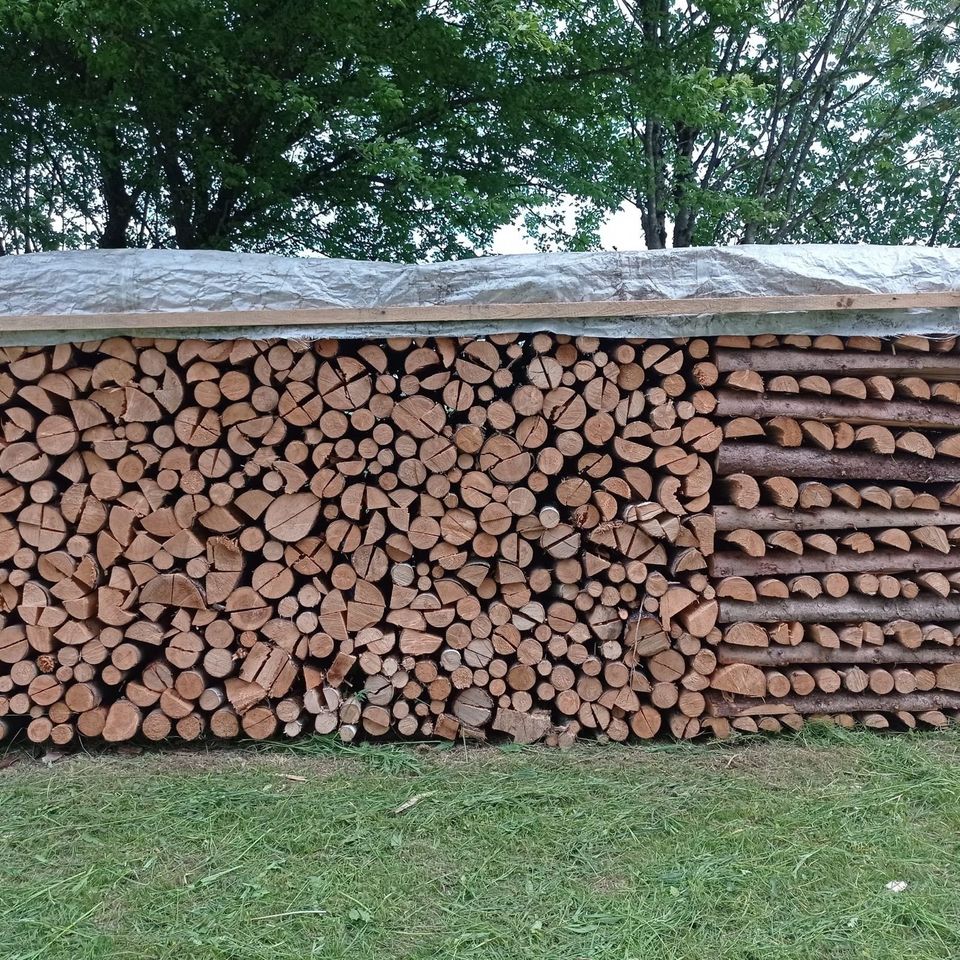 Brennholz Fichte Meterstücke gespalten und trocken 1 m Heizung in Helmbrechts