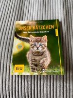 Buch Kitten/ Katzenbabys Rheinland-Pfalz - Mainz Vorschau