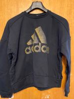 Adidas Pullover Bayern - Nordhalben Vorschau