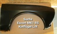 Kotflügel Stoßstangenecken Escort MK1 RS Mexico Sachsen - Hainichen Vorschau