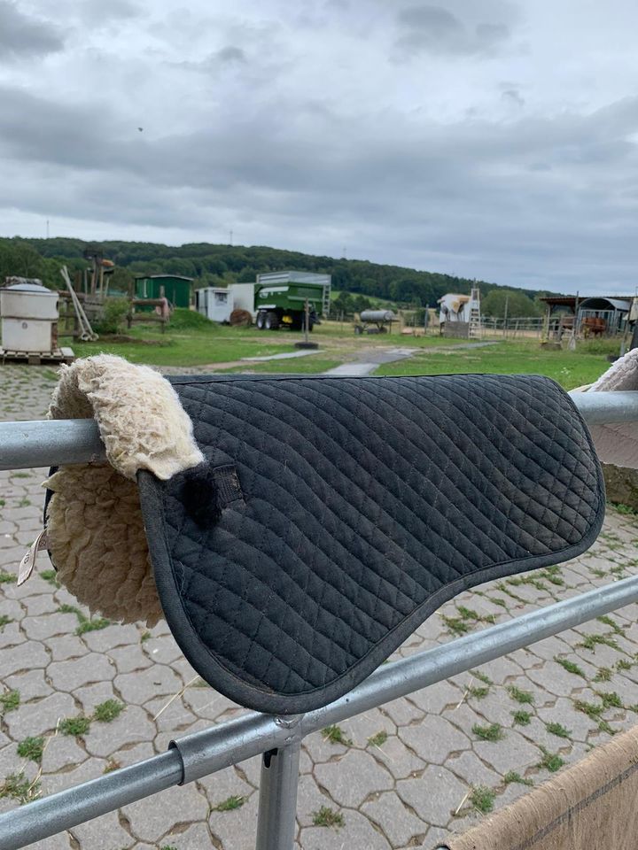 HalfterSatteldecken/Schabracken von Shetty bis Warmblut / Zubehör in Kalbach