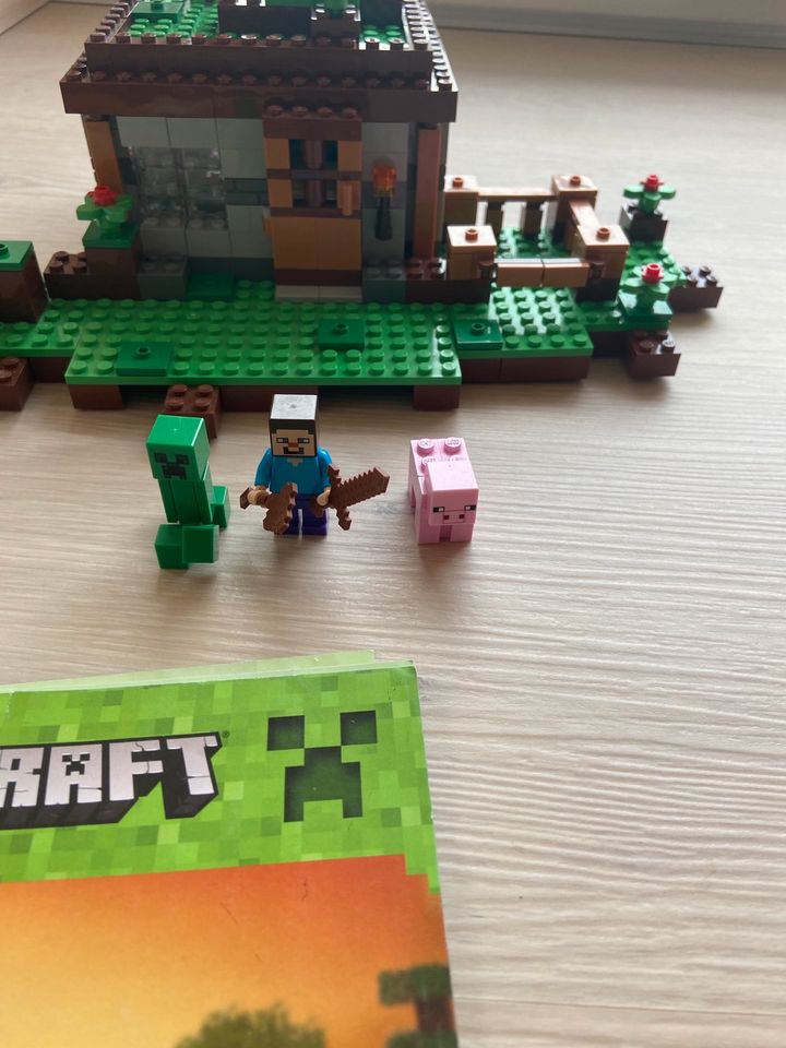 Lego 21115 The First Night Minecraft Set mit Figuren in Detmold