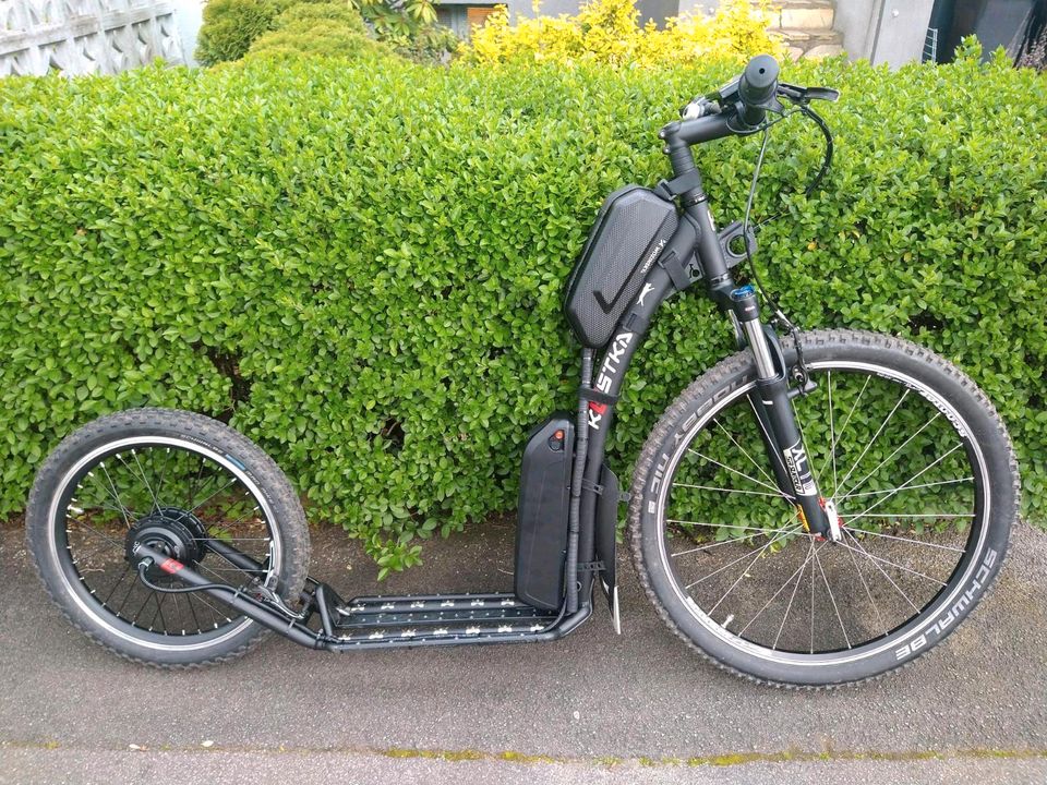 E-Bike Pedelec Umbauen Dogscooter zum E-Dogscooter Umbauen in Gladbeck