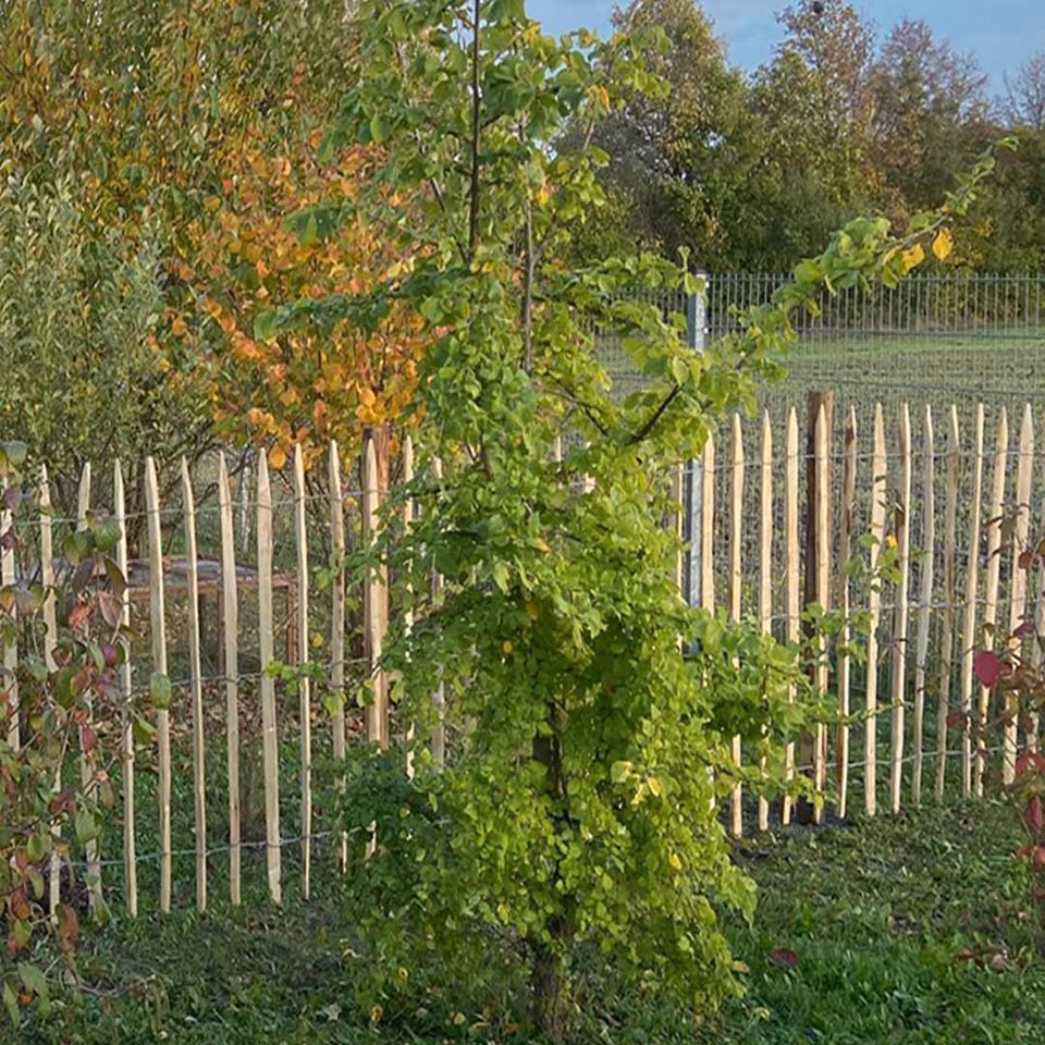 Zäune Kastanienholz 150 cm hoch | Holzzäune Kastanie in Bad Bocklet