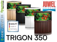 Juwel TRIGON 350 Eck-Aquarium LED+SBX Unterschrank versch. Dekore Dortmund - Hombruch Vorschau