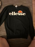 Ellese pulli Rheinland-Pfalz - Neuburg am Rhein Vorschau