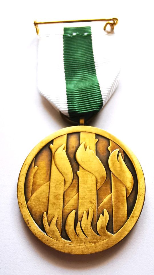 Gedenkmedaille Waldbrandkatastrophe Weisswasser 1992 in Hechingen