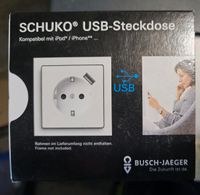 Busch Jäger USB Steckdose 20 EUCBUSB-84 Nordrhein-Westfalen - Herscheid Vorschau