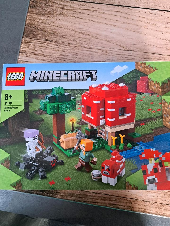 Lego minecraft 21179 in Schermbeck